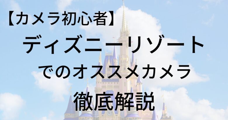 初心者必見 ディズニーで持ち歩きするオススメカメラはミラーレス 一眼レフ Dislog